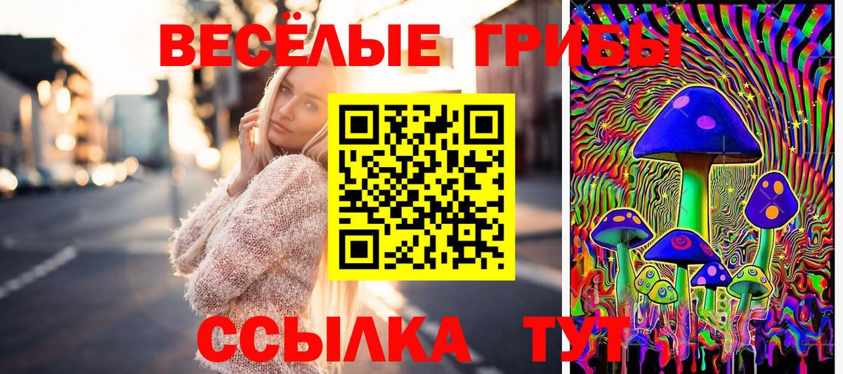 Златоуст  Псилоцибиновые грибы ЛСД  Вход с VPN 