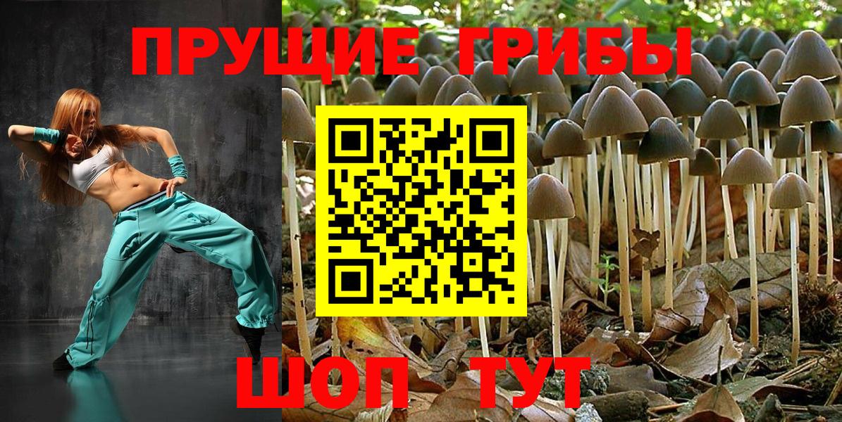 Псилоцибиновые грибы мухоморы Златоуст